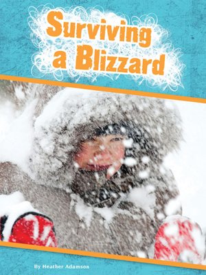 cover image of Surviving a Blizzard